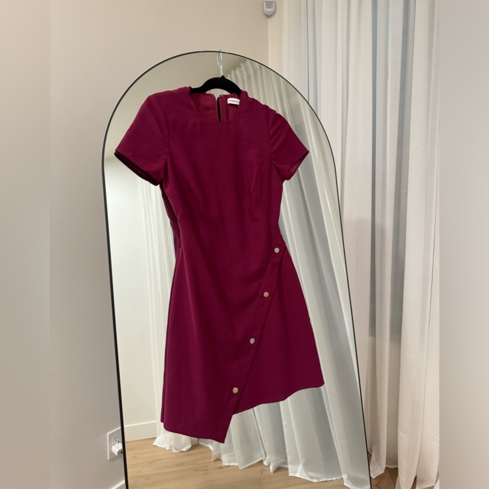 Rebecca Minkoff Barbara Button Dress